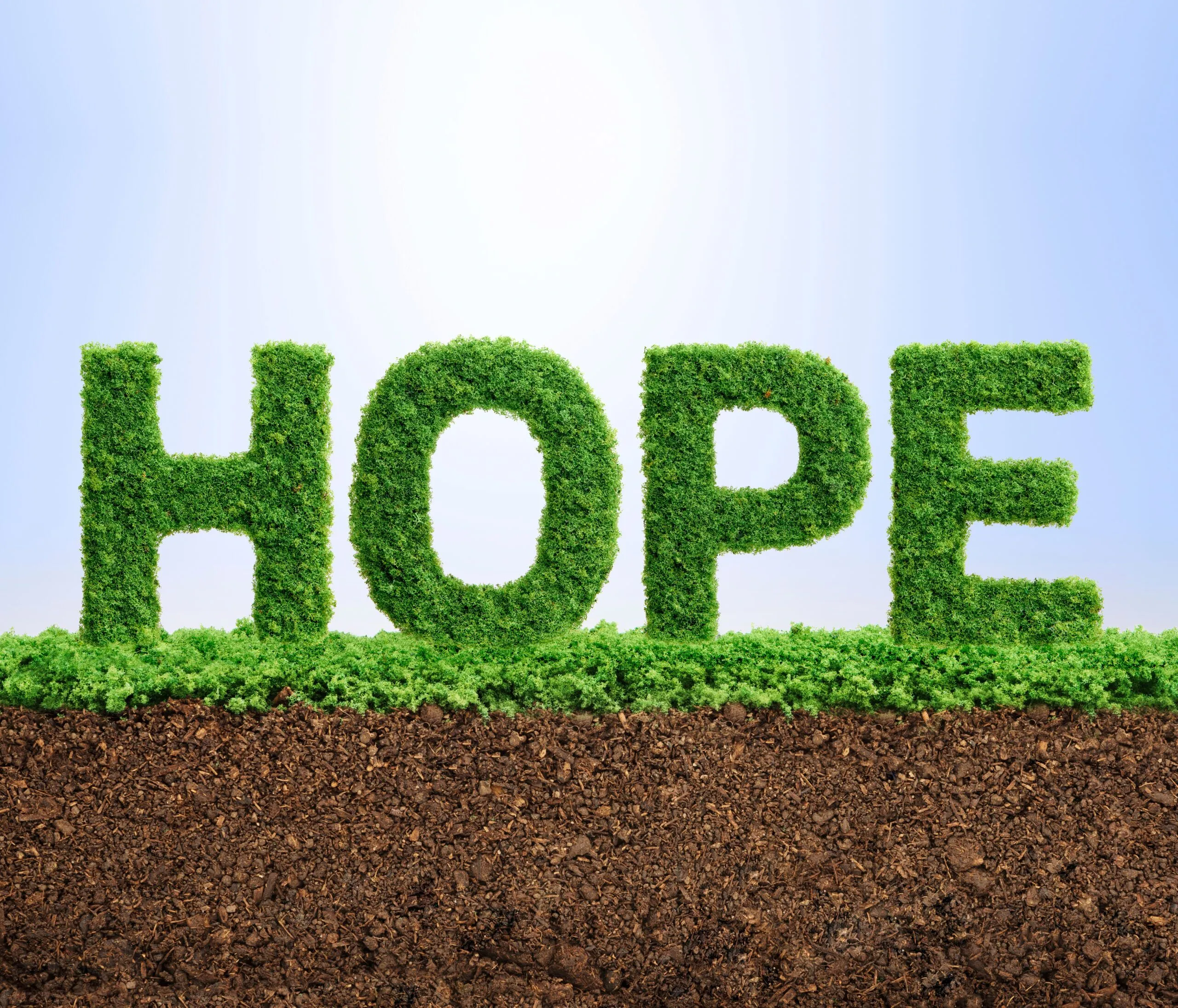 Grass growth hope concept
